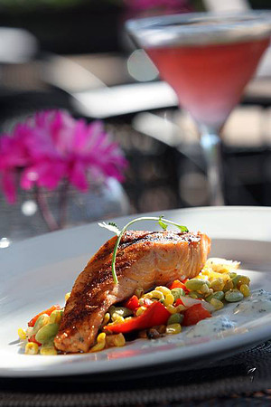 Salmon