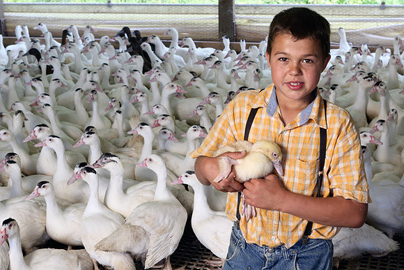 Boy-&-Duck-3