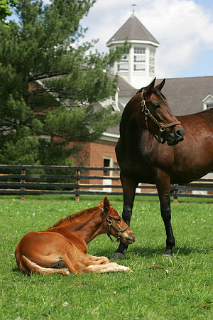Overbrook'05-KS587