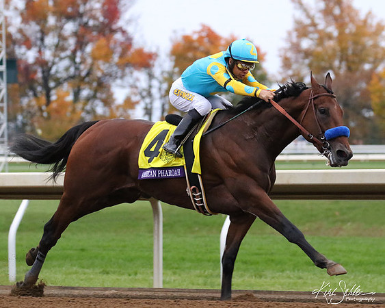 American_Pharoah_8x10_Web