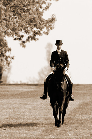 DressageWalkerSepia2