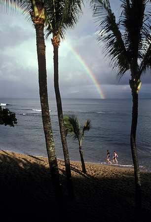 MauiRainbow