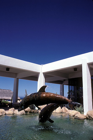 DolphinHotel
