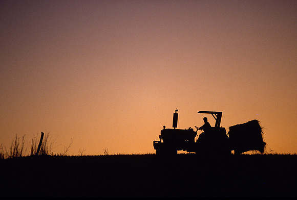 MOVING HAY-DUSK